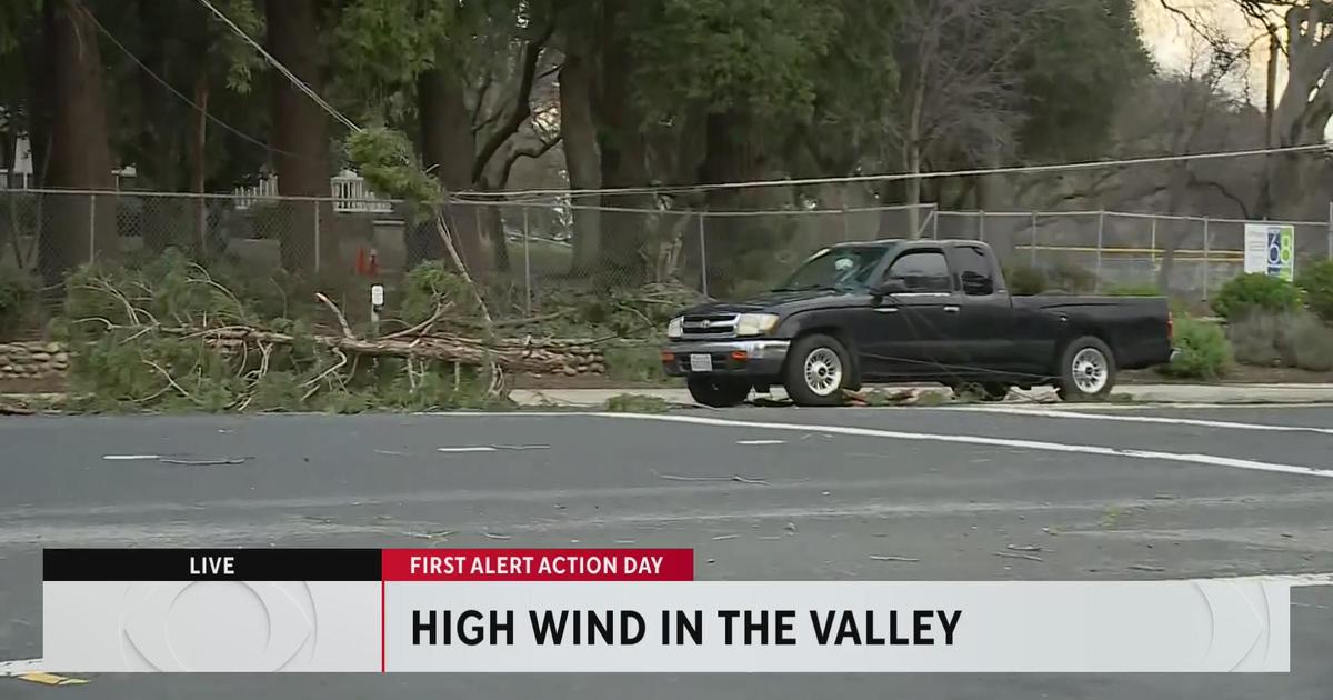 Road in Citrus Heights closed after tree falls on parked car - CBS ...