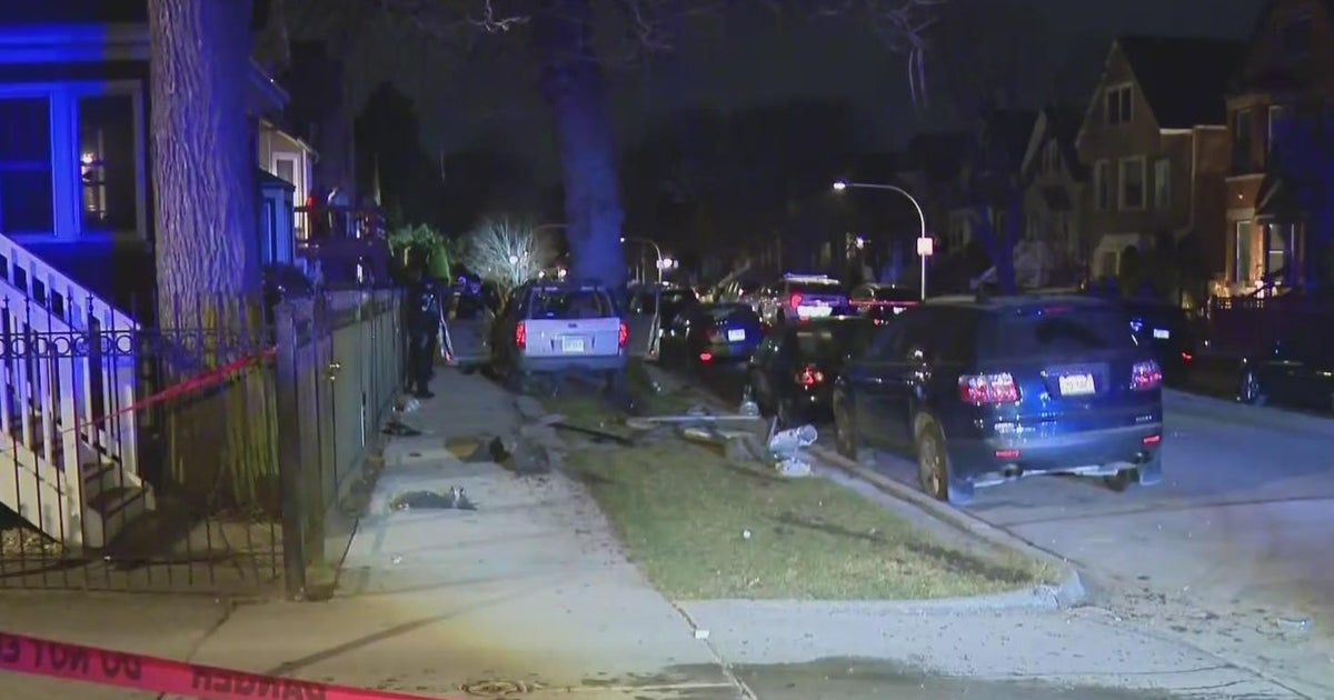 Driver killed after being shot in head, crashes into parked cars, tree ...