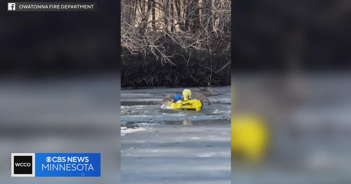 WCCO  CBS News Minnesota on X: FISHING OPENER WEEKEND 🐟 Ron