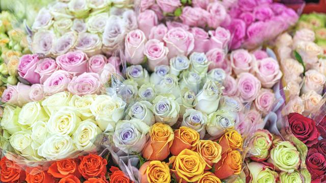 Close-up of Roses Bouquets in Flower Market 