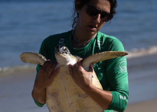 Migratory species at risk worldwide, with a fifth in danger of extinction, landmark U.N. report says