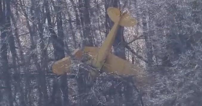 Plane crashes into tree after burst of wind in Livingston County - CBS ...