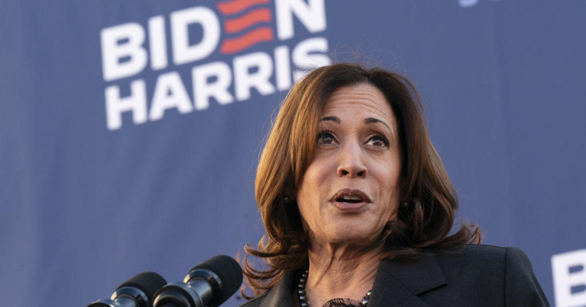 Vice President Harris and governors dish on immigration, abortion, special counsel — but not on dumping Biden
