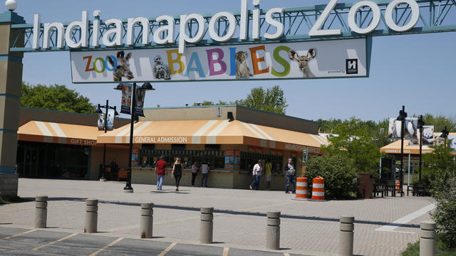 Indianapolis Zoo 