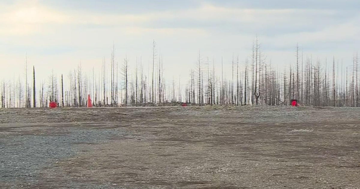 School district fundraising to rebuild elementary school in Grizzly Flats destroyed by Caldor Fire