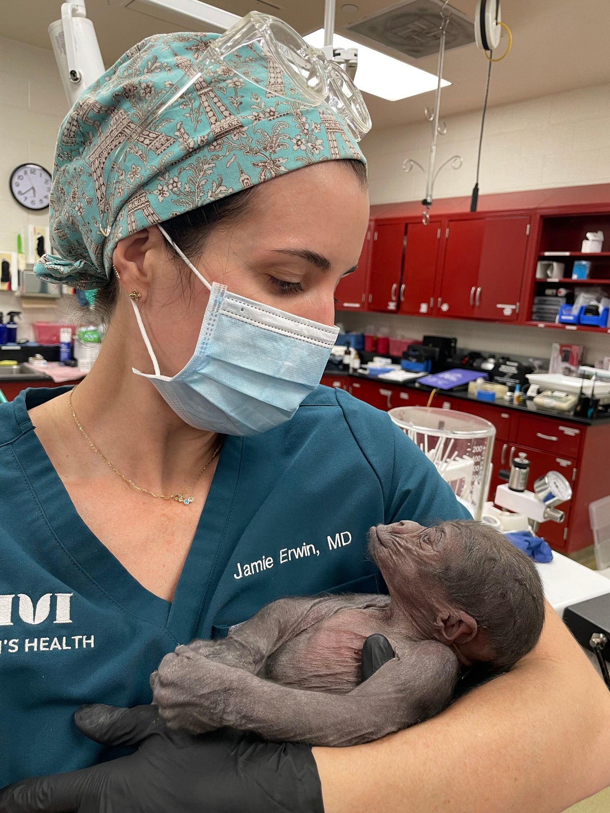 Fort Worth Zoo baby gorilla via emergency csection CBS Texas