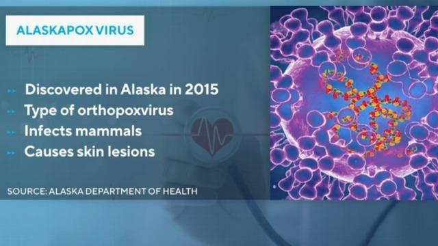 cbsn-fusion-signs-and-symptoms-of-alaskapox-which-just-killed-a-person-thumbnail-2685100-640x360.jpg 