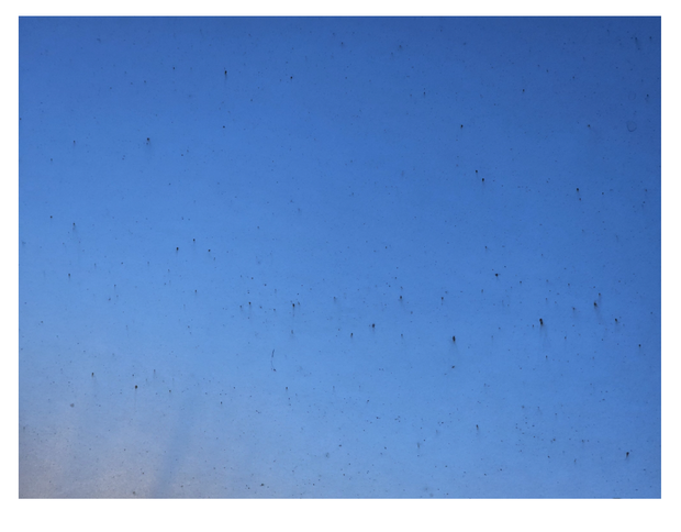 screen-shot-2024-02-16-at-11-33-45-am.png