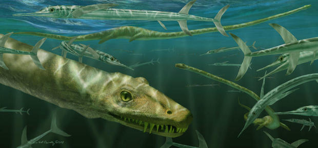 dinocephalosaurus-orientalis-swimming-alongside-some-prehistoric-fish-known-as-saurichthys-image-c-marlene-donelly.jpg 