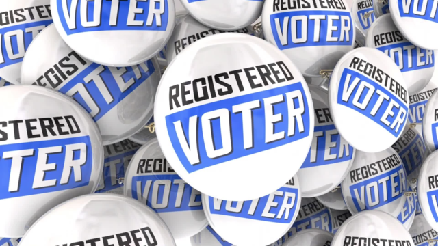 registered voter pins 