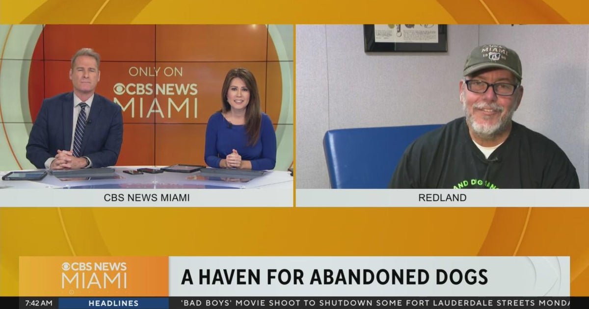 Retired canine groomer Newton Siqueira Jr. rescues and cares for deserted puppies and strays Retired canine groomer Newton Siqueira Jr. rescues and cares for deserted puppies and strays