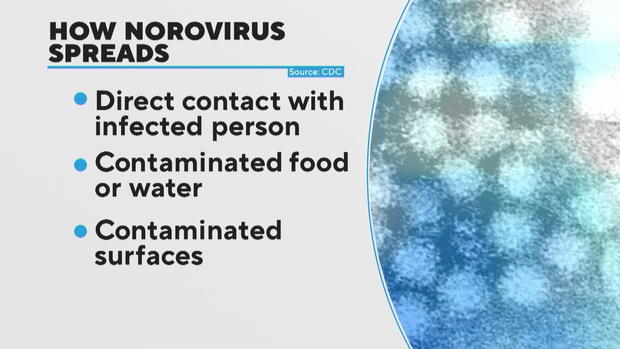 16pkg-ea-norovirus-hits-hard-transfer-frame-1632.jpg 