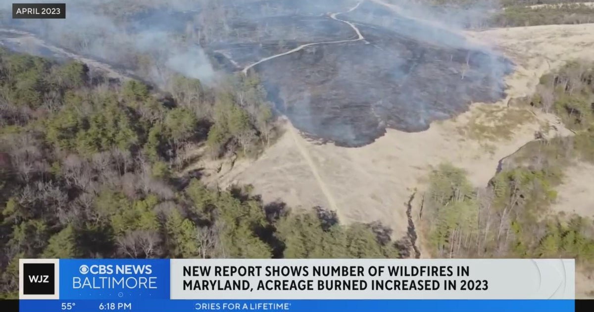 Maryland wildfires in 2023 outpaced the state's 10-year average, report ...