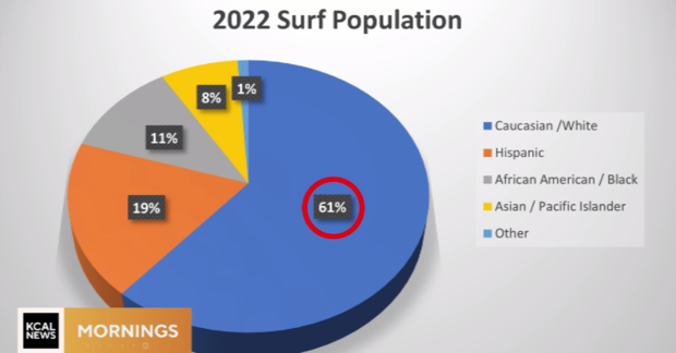 2022-surf-population-stats.png 