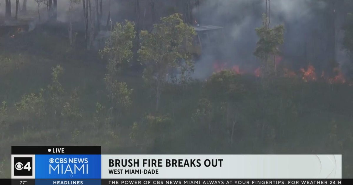 Brush fire burns in West Miami-Dade - CBS Miami