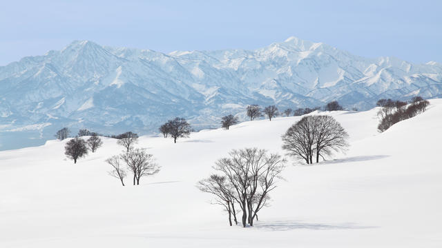 Trees in the snow and Myoko mountain range, Niigata Prefecture 