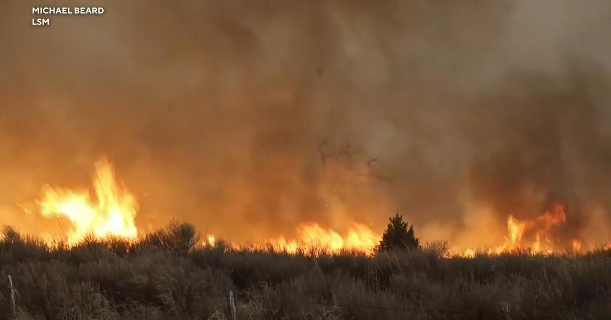 Fast-moving wildfires torch the Texas Panhandle