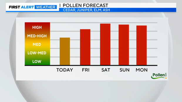 thumbnail-am-pollen-bars-1.png 