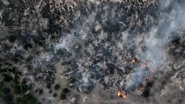 cbsn-fusion-largest-wildfire-in-texas-history-burns-11-million-acres-thumbnail-2722443-640x360.jpg 