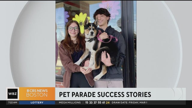Live news stream CBS News Boston News live stream free 24 7