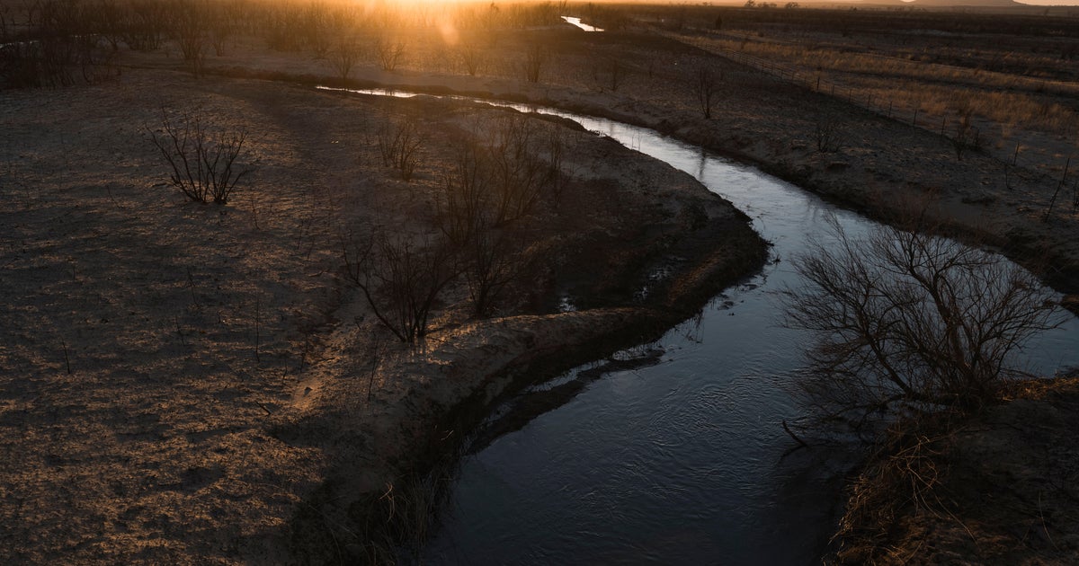 The Texas Panhandle fires have burned nearly as much land in 1 week as thousands did in 4 years in the state