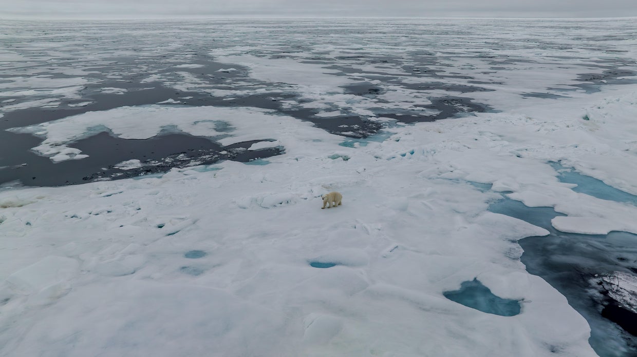 Could the Arctic be ice-free within a decade? What the latest science ...