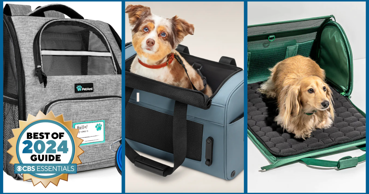 Best airline-approved pet carriers for travel in 2024 - CBS News