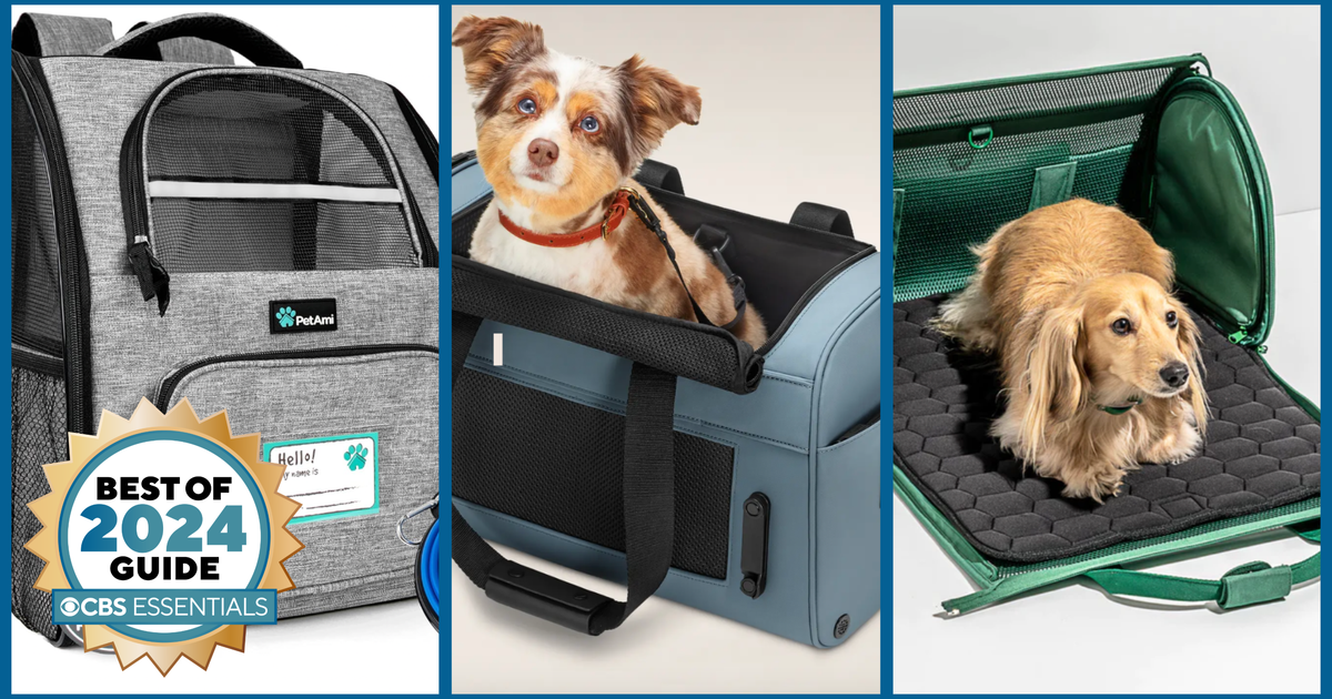 Pet carriers top near me
