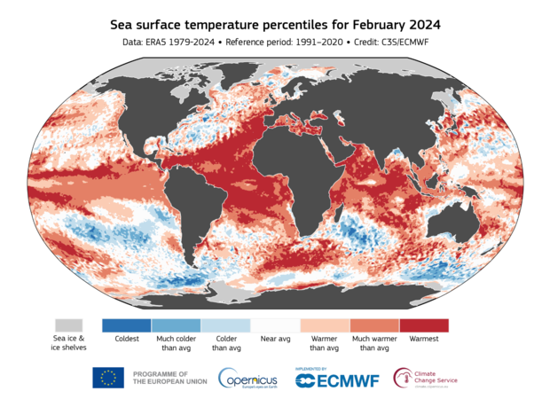 global map of sea surface temperatures 