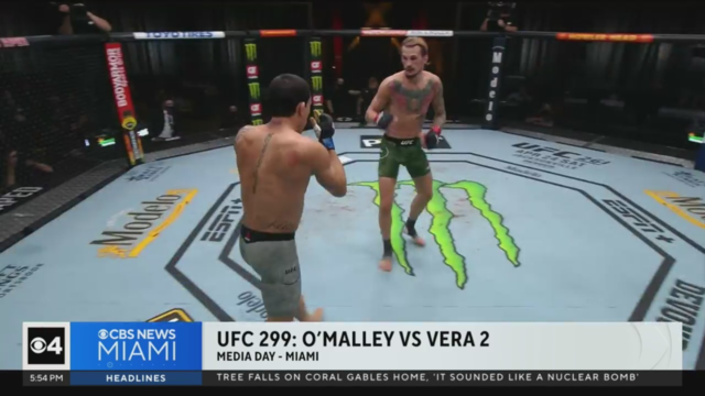 ufc-299-preview.png 