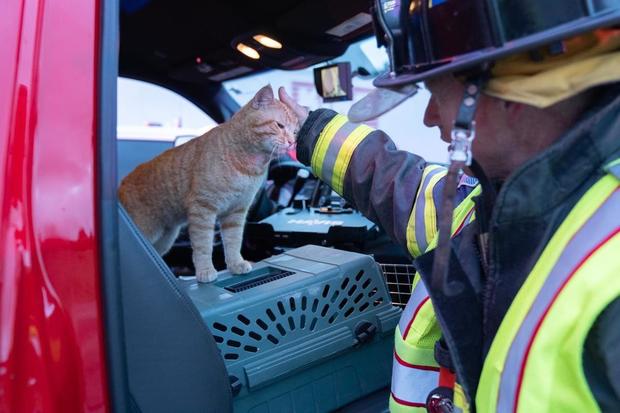 hazmat-cat-5-south-metro-fire-rescue-tweet.jpg 
