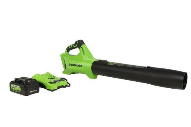 Greenworks 24-Volt 110 MPH 450 CFM Cordless Handheld Blower 