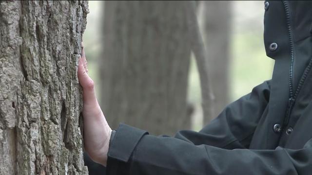 Science of Weather: Forest Therapy at Michigan State University's Tollgate Farm 