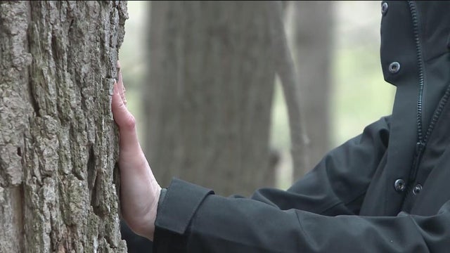 Science of Weather: Forest Therapy at Michigan State University's Tollgate Farm