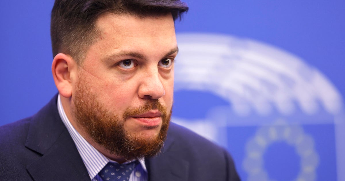 Son Rus muhalif lider Alexey Navalny'nin müttefiki Litvanya'da saldırıya uğradı