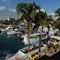 Florida woman found dead on cruise ship, Bahamas police say