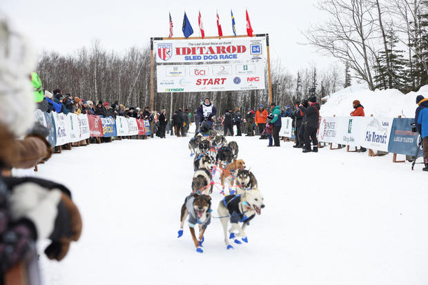 Official restart of the 52nd Iditarod Trail Sled Dog Race in Willow 