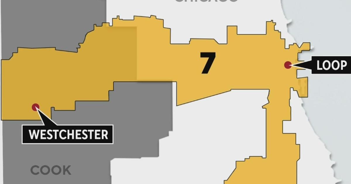 Crowded race for Illinois’ 7th Congressional District
