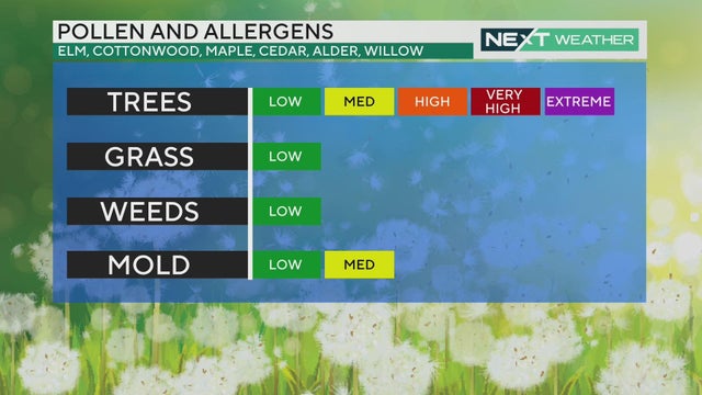 Allergy outlook