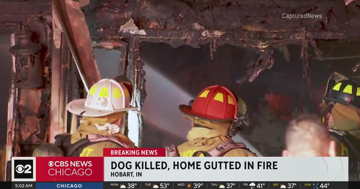 Dog killed in Indiana house fire, family escapes - CBS Chicago