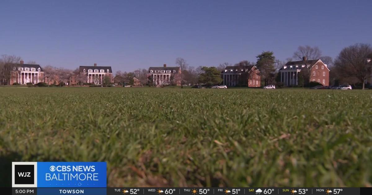 UMD pledges burned, paddled, forced to drink urine among hazing allegations - CBS Baltimore
