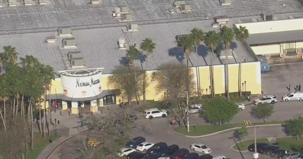Dear purses stolen in smash and grab robbery at Sawgrass Mills shopping mall Dear purses stolen in smash and grab robbery at Sawgrass Mills shopping mall