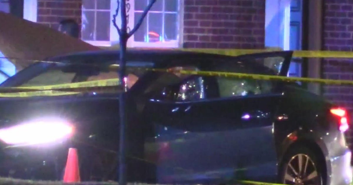 28-year-old mother found shot to death inside car in Chicago suburb ...