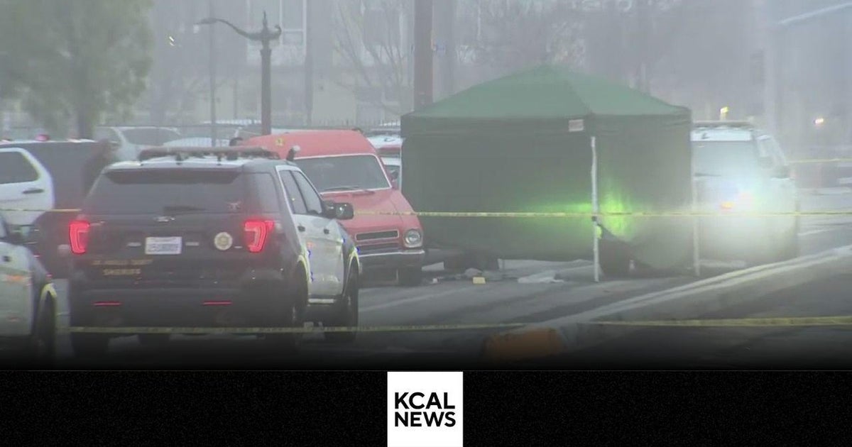 Man is shot and killed by deputies after backing his car onto deputy ...
