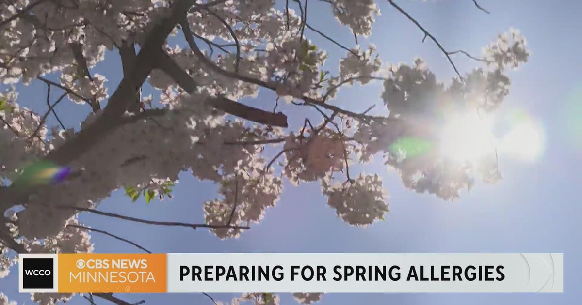 This could be one rough spring allergy season - CBS Minnesota