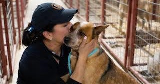 Animals taken from Erath County property in custody of animal ...