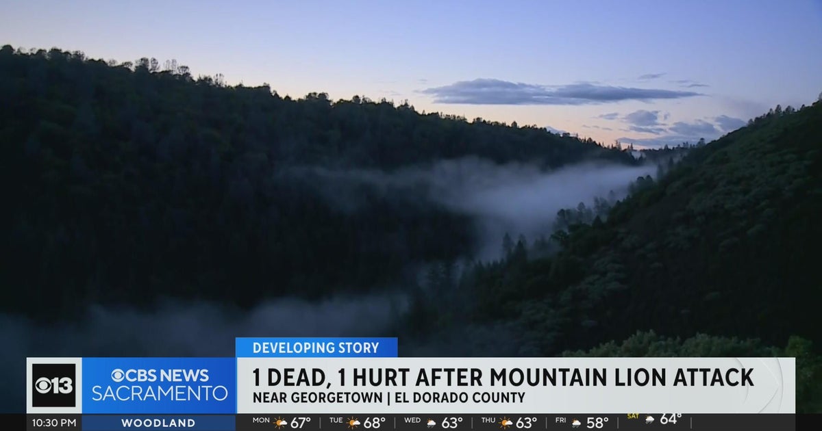 1 killed, 1 injured in mountain lion attack in Northern California foothills