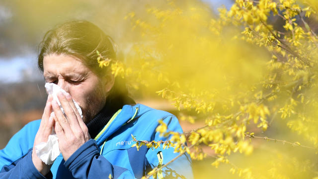 Pollen allergy 