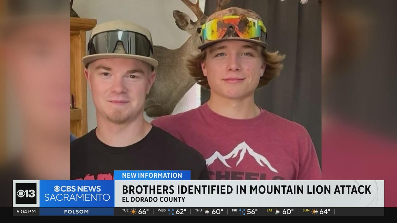 Two Brothers Killed by a Moutain Lion In California