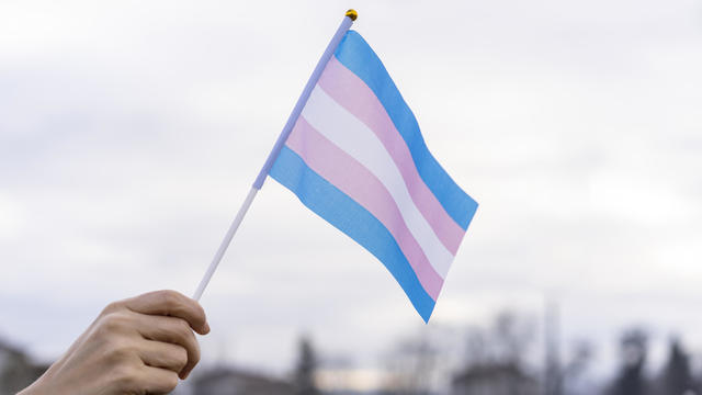 Trans pride flags flutter in the wind 